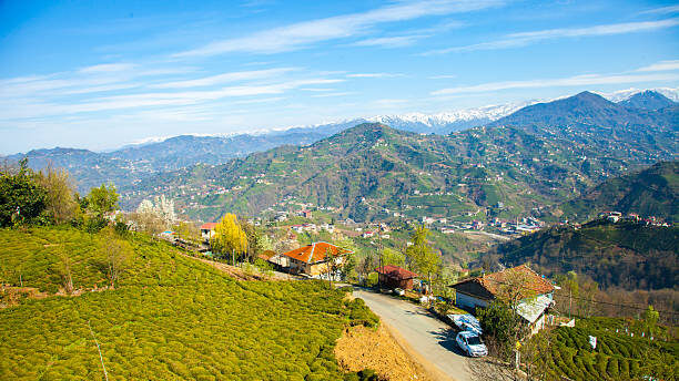 How Kodai Trails Makes Your Kodaikanal Trip Easy and Stress-Free