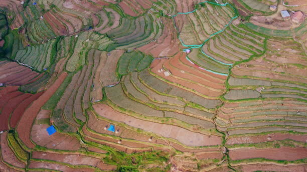 A mesmerizing aerial video capturing the scenic beauty of Poondi, a small village near Kodaikanal in Tamil Nadu. The footage reveals a charming rural settlement surrounded by expansive terrace fields that cascade down the hillsides. The vibrant green fields are meticulously arranged, showcasing traditional agricultural practices in the region. Nestled amidst misty mountains, the village's rustic homes are dotted across the landscape, creating a peaceful and picturesque scene.